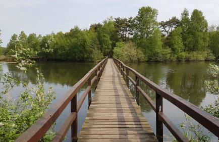 Strandlust - Foto 41