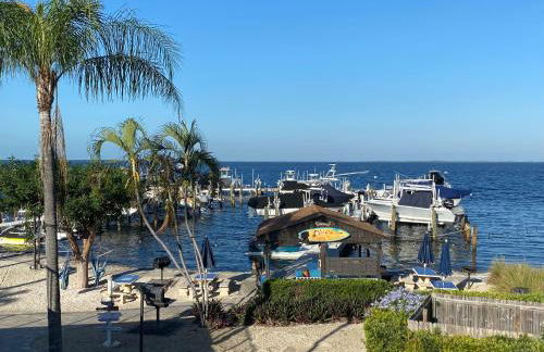 Moon Bay Condo, Paradise Found in Sunny Key Largo, Florida - Photo 18