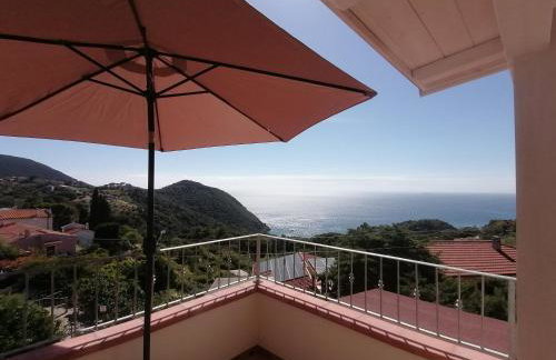 L' Elicriso - Photo 4