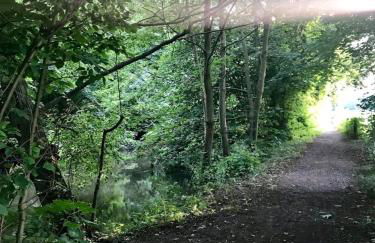 Apartment in Grevenbroich - Foto 28