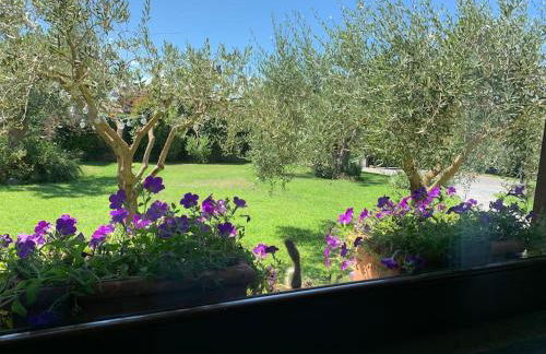 La casa al Lago - Foto 25