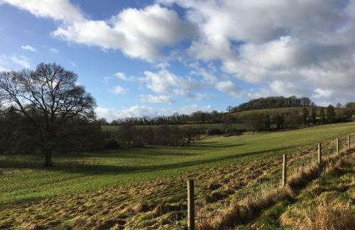 Snug at Combe Hay - Foto 12