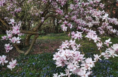 Ferienhaus Richard - Foto 39