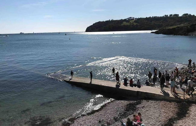 Cozy Coastal Apartment - Photo 17