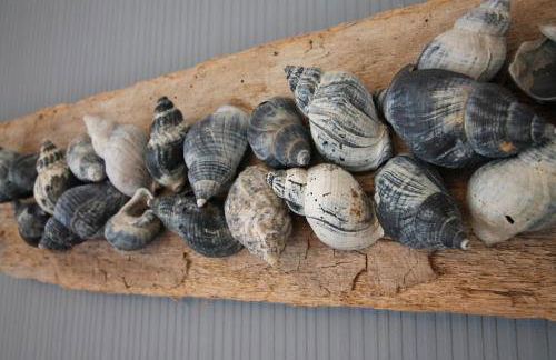 Haus Dollart - Foto 9