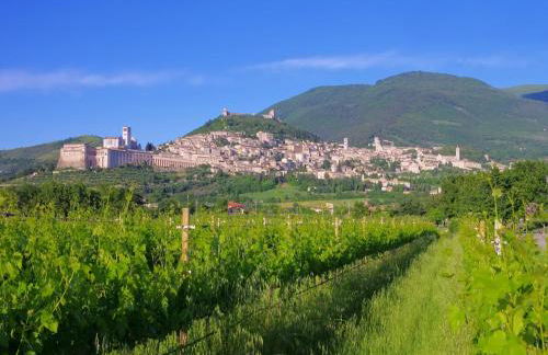 Villa in Cannara With Pool Near Assisi - Foto 70