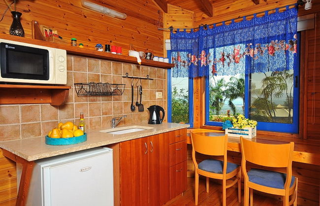 The Golan Cabin - Photo 5