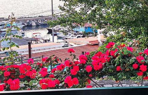 Panoramic Sea-View Apartments with Terrace, Marina della Lobra - Foto 31