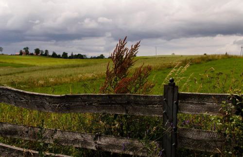 Zakątek Szczęścia Eko Agroturystyka - Foto 65