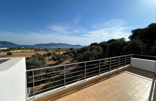 Tzaferi Olive Apartments - Photo 4