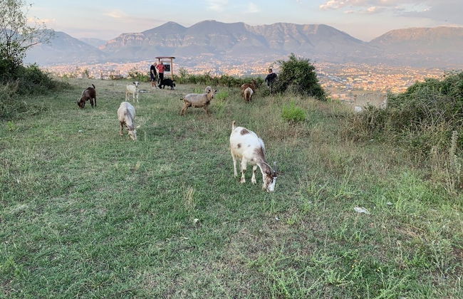 Florenc's Apartment - Foto 33