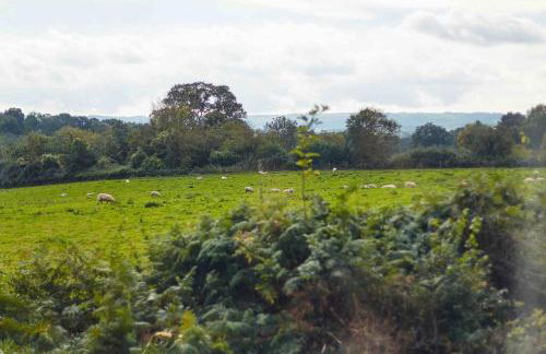 Bentra - Boutique Cottage at Harrys Cottages - Foto 17