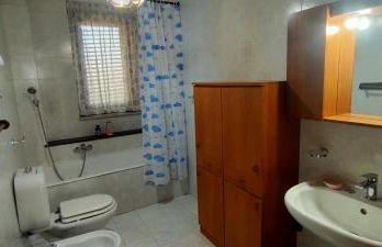 aranceto dell'Etna - Foto 77