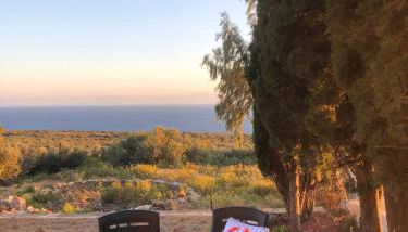 Kamares Cave House 3 - Photo 5, Garden