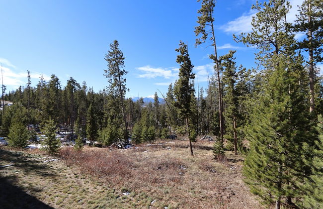 Timbers Cozy Mountain Getaway - Foto 31