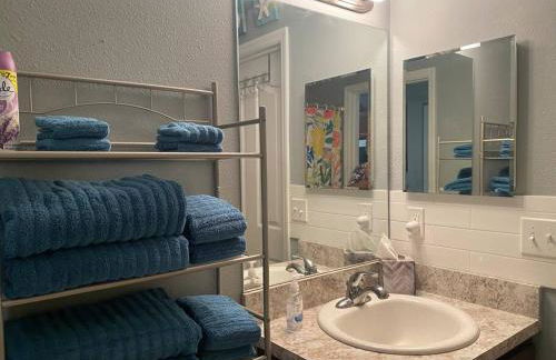 Professor Rousseau's Adventure Oasis - Foto 30