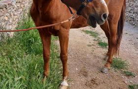 Casas de Santa Rita - Foto 70