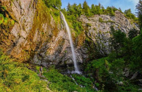 Bois aux Cheirilles - 15min Murol - Puy de Dome - Foto 38