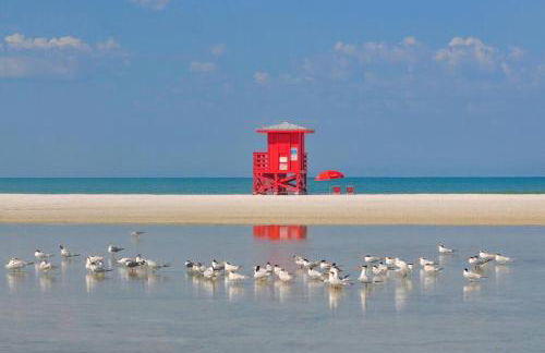 Beautiful Siesta Key home - Foto 28