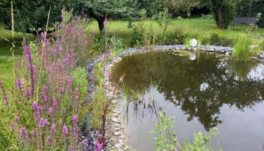 Ferienhaus Warf mit Wintergarten Kamin und Teich - Foto 2, Garden
