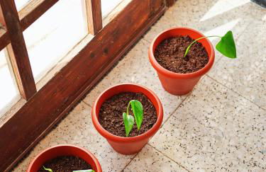 Playa Marina Eco Beach Villa - Foto 76