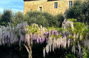 Appartamento nel castello del cardaneto - Foto 32