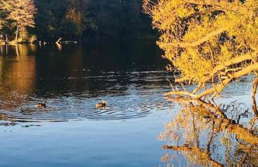 Całoroczny Domek Hampton Lubniewice, jezioro, jacuzzi - Foto 49