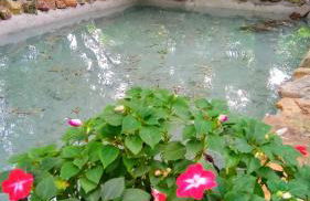 Las Navedas - Foto 40