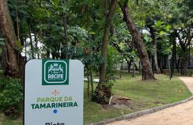 Rosarinho Premium Flat - Conforto extremo - Foto 29