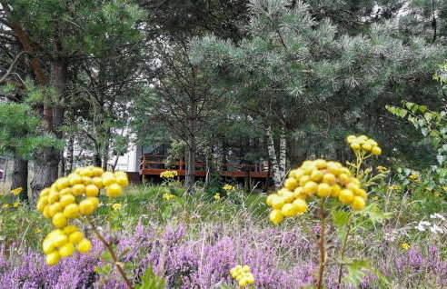 Gorgeous Home In Kowalewo With Wifi - Photo 7