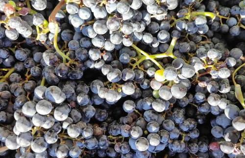 Casa Elisabetta - Foto 62