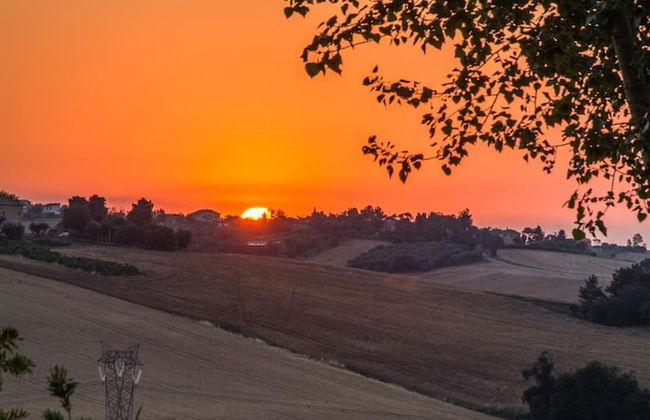 La Vita Nuova - Foto 44