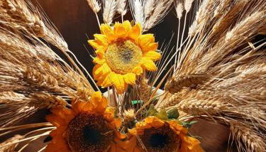 Casa vacanze "ALIZZA" - Foto 5