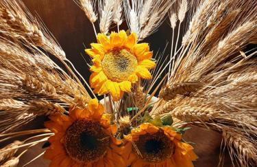 Casa vacanze "ALIZZA" - Foto 5