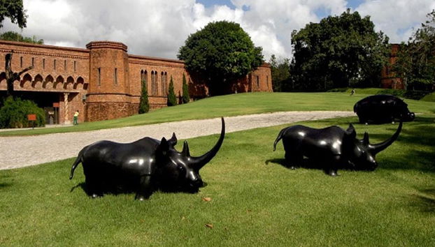 Visite Culturelle de la Ville de Recife avec le Musée Ricardo Brennand - Photo 2