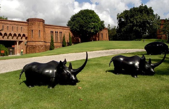 Visite Culturelle de la Ville de Recife avec le Musée Ricardo Brennand - Photo 2
