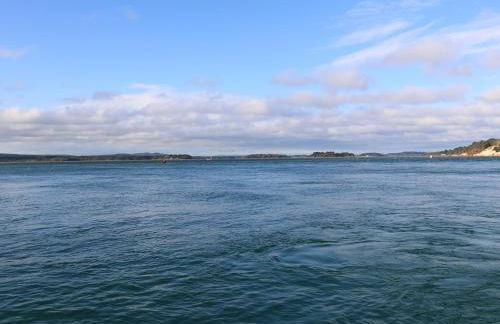 The Cottage - Photo 43