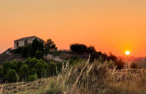 Descubre Somontano - Photo 39