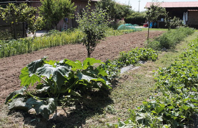 Agriturismo Le Stringaie - Photo 22