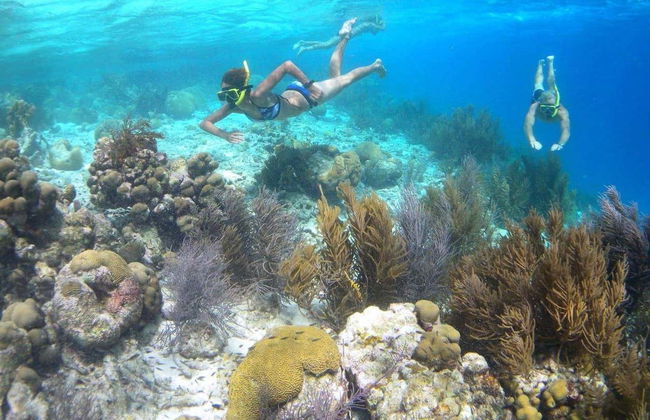 Watertaxi a Klein Bonaire - Foto 5