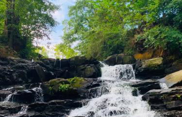 Redbud Waterfront (Augusta Canal), king bed - Foto 25