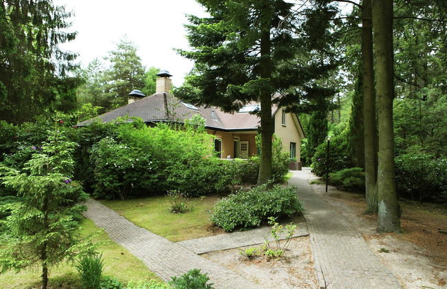 Villa in Doornspijk Near Forest and Lake - Photo 33