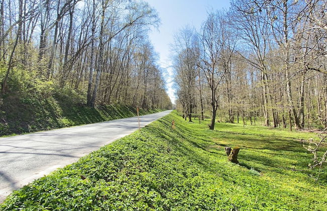 Great Location, Great Price! - Foto 9