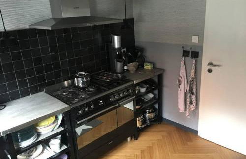 Beautiful big house with garden - Foto 14