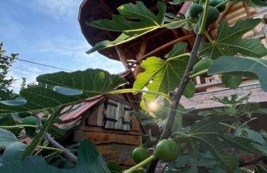 Kuća za odmor “Mita” - Foto 19