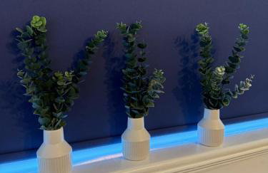 Rochester House - Foto 55