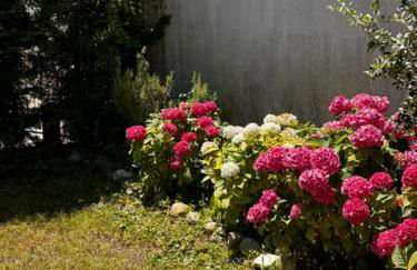 Casa Vacanza Indipendente Cascina Cremasca with pool - Foto 64