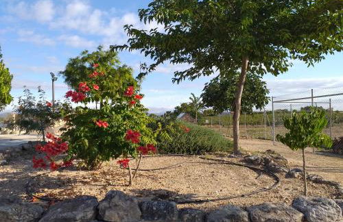 Casa Rural Las Caleras - Foto 37
