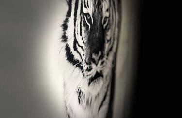 Croydon Luxury 2 Bed Apartment - Sleeps 6 - Gatwick Airport close - Foto 87