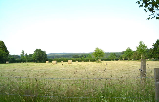 Heritage Holiday Home in Roumont - Foto 40